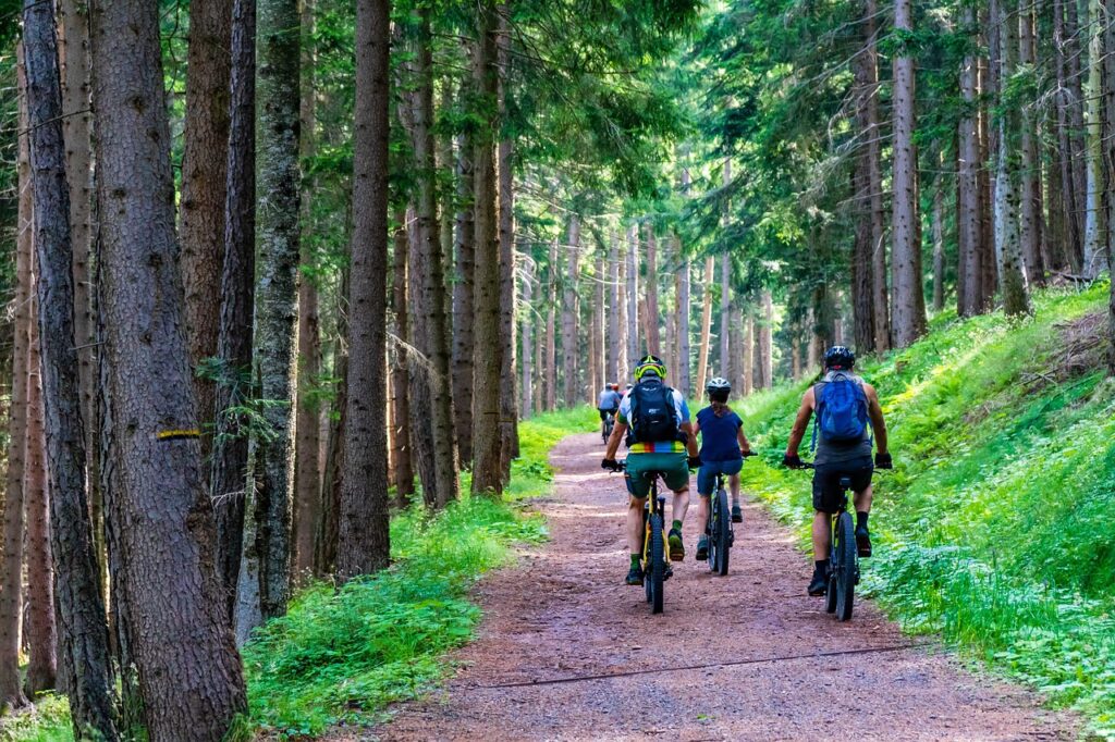 forest, forest road, mountain bike, e bike, e-mtb, pedelec, nature, landscape, to go biking, biking, mountain biking, cyclist, sports, man, fitness, cycling, wheel, leisure time, cycles, bike tour, athletic, bike, active, recreation, people, mountain bike, mountain bike, mountain bike, e bike, mountain biking, mountain biking, mountain biking, mountain biking, mountain biking, cycling, cycling, cycling